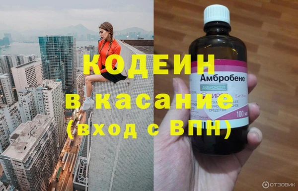 ПСИЛОЦИБИНОВЫЕ ГРИБЫ Кулебаки
